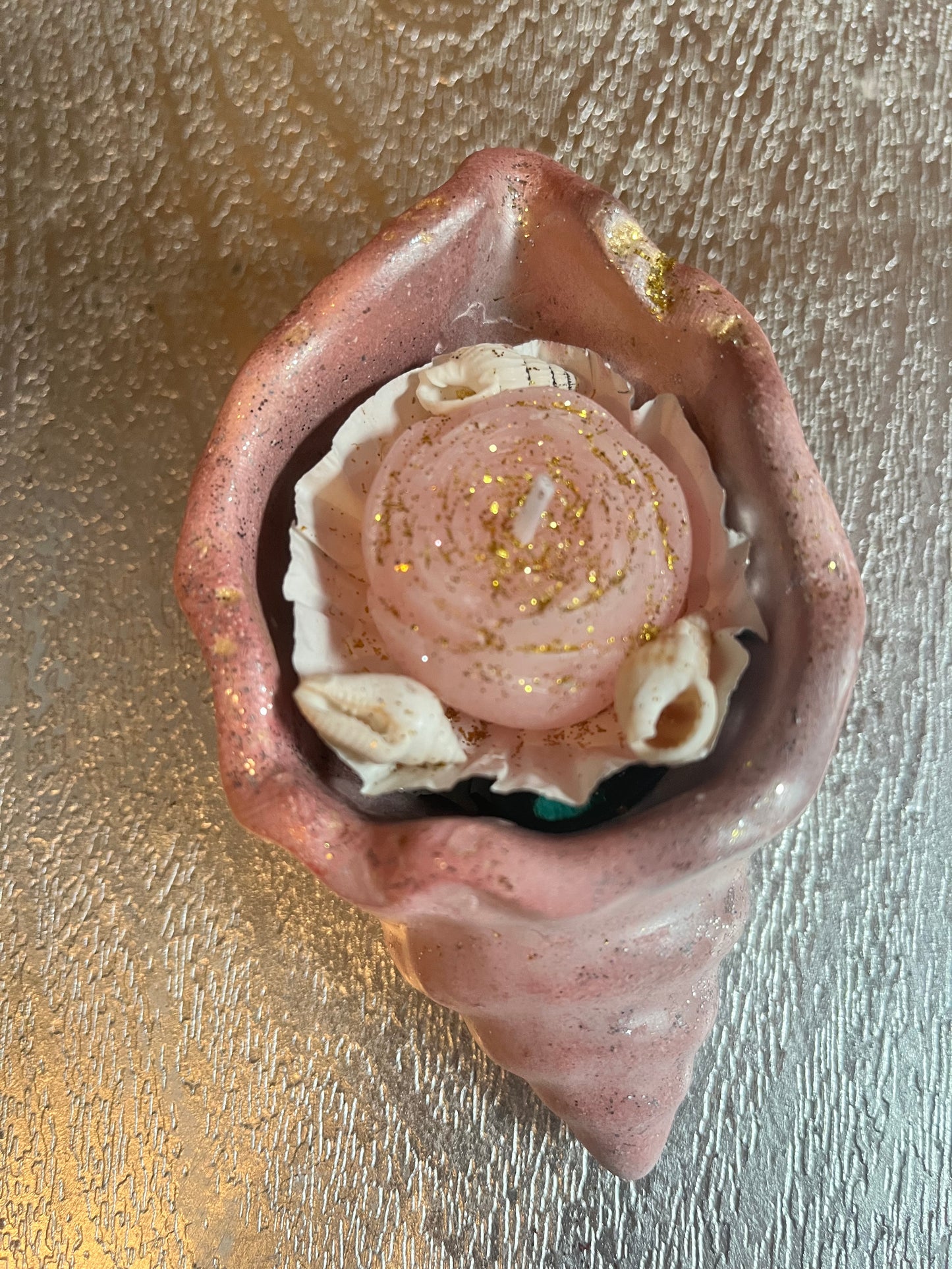 Bougie / coquille escargot en plâtre