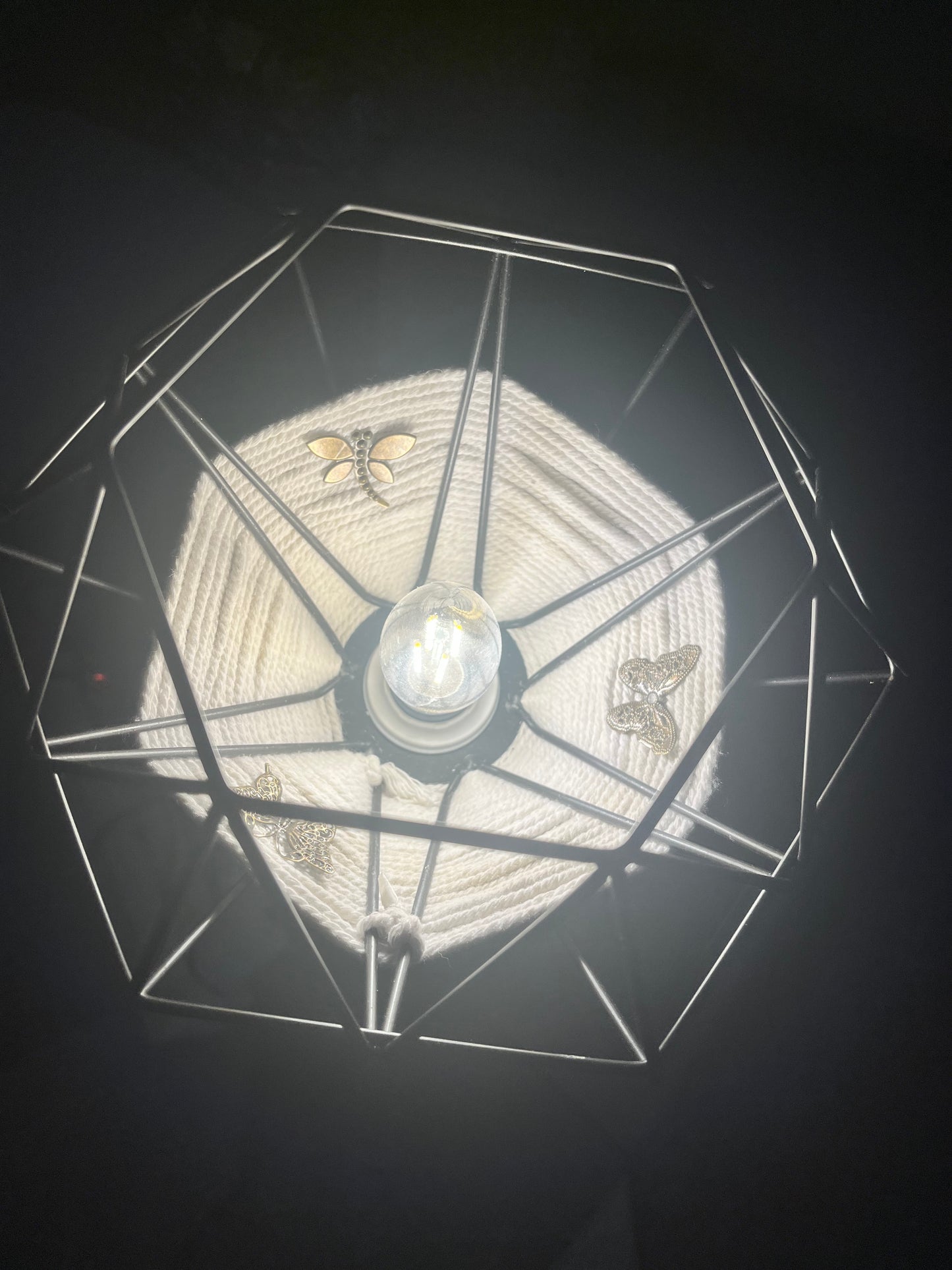 Lampe nature et zen avec mise à prix à 79,00 euros