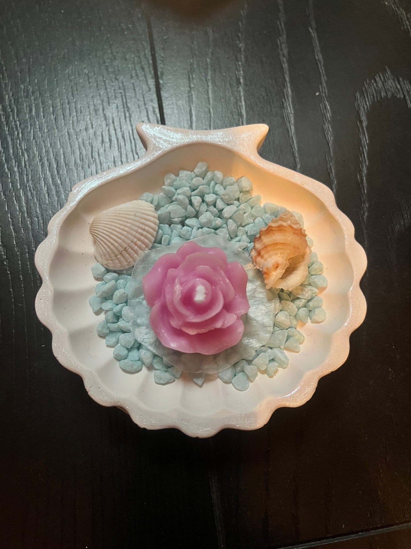 Bougie / coquille saint Jacques en plâtre