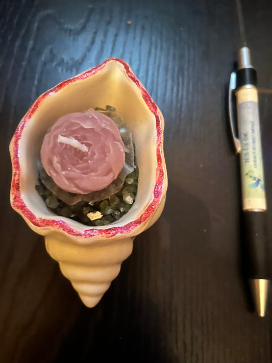 Bougie / coquille escargot en plâtre