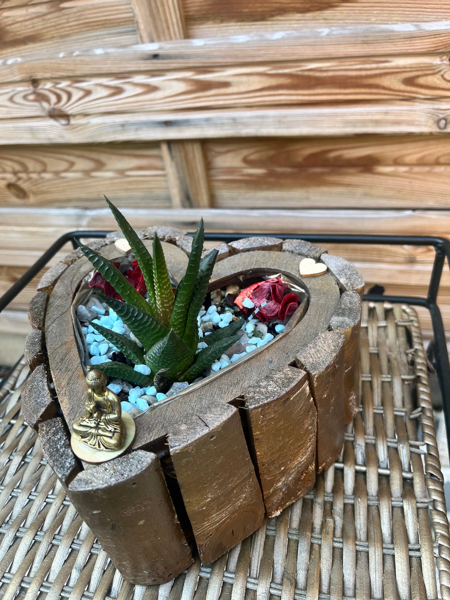 Pot cœur avec fleur cactus