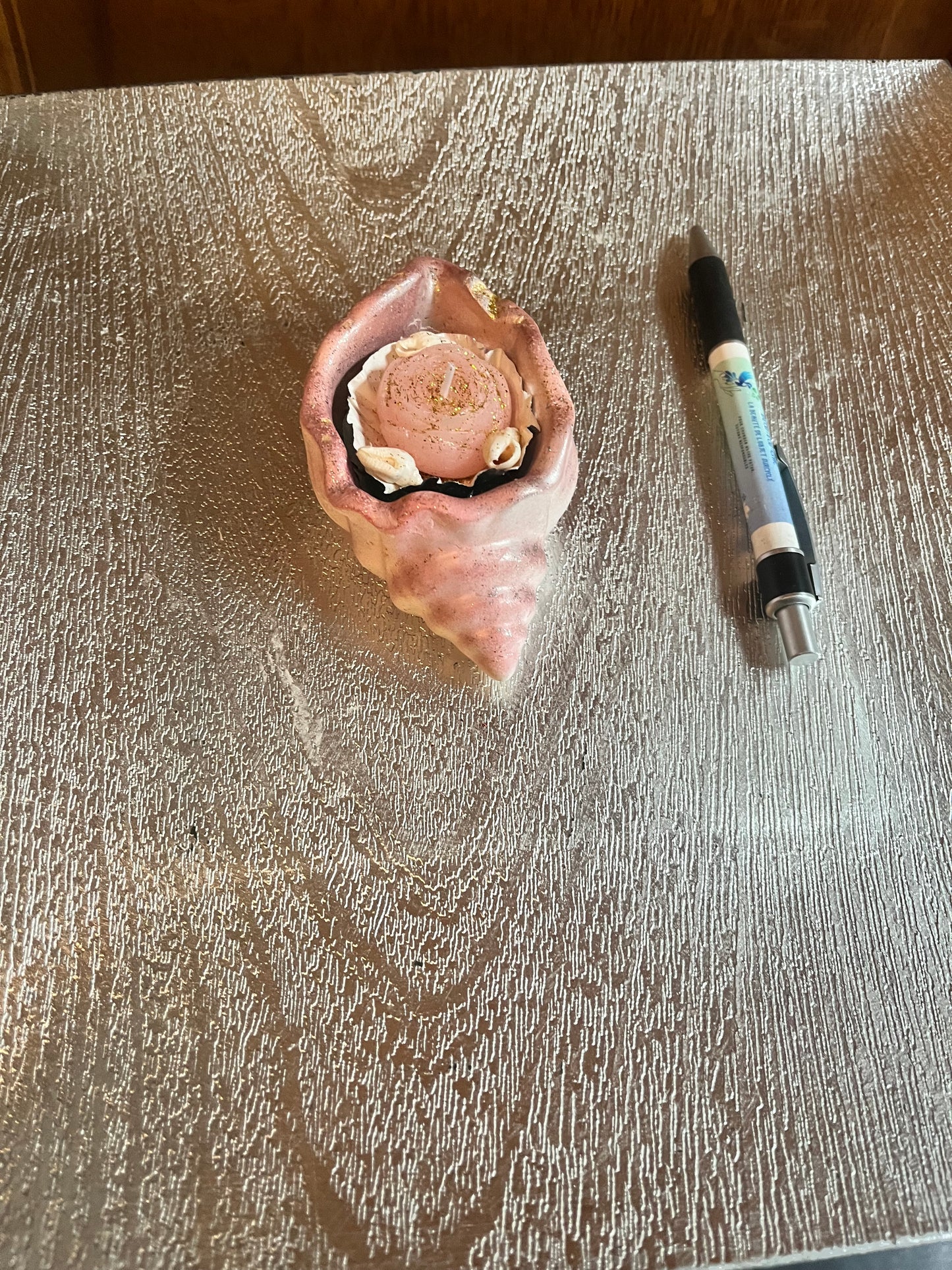 Bougie / coquille escargot en plâtre