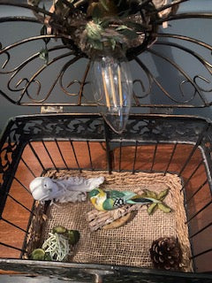 lampe cage avec mise à prix à 79,00 euros