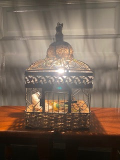 lampe cage avec mise à prix à 79,00 euros
