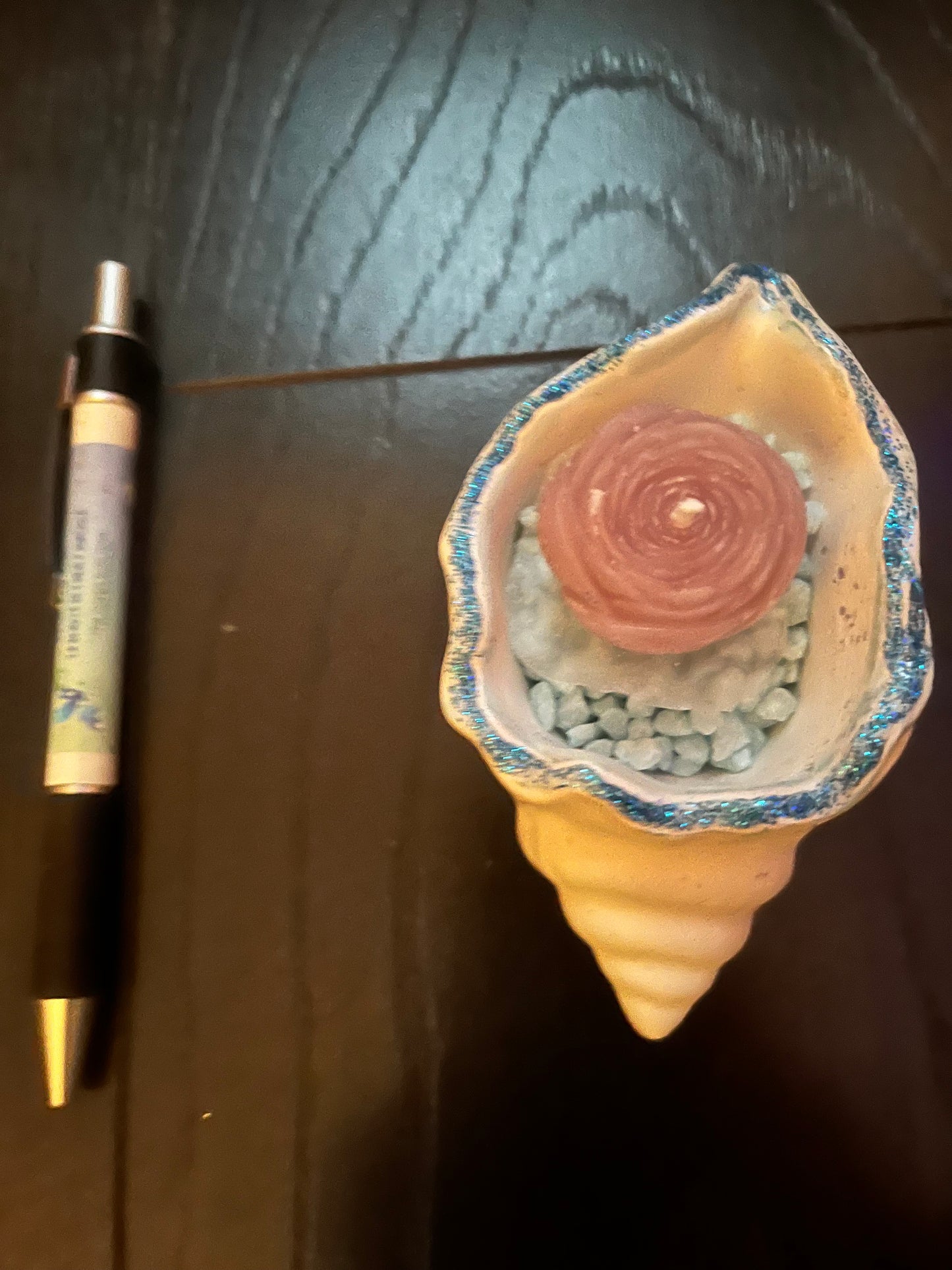 Bougie / coquille escargot en plâtre
