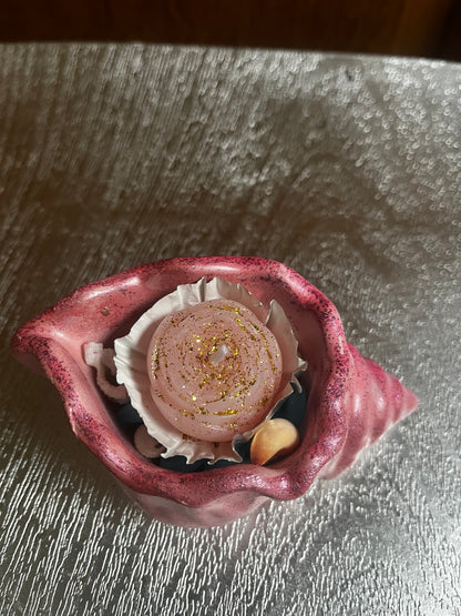 Bougie / coquille d escargot en plâtre