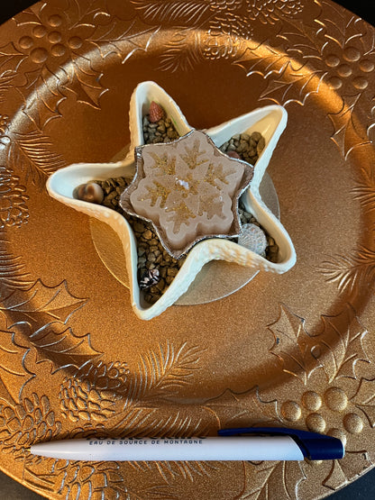 Bougie étoile / support étoile en plâtre