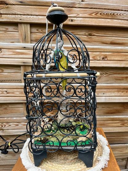 Lampe cage à oiseau avec mise à prix à 69,00 euros