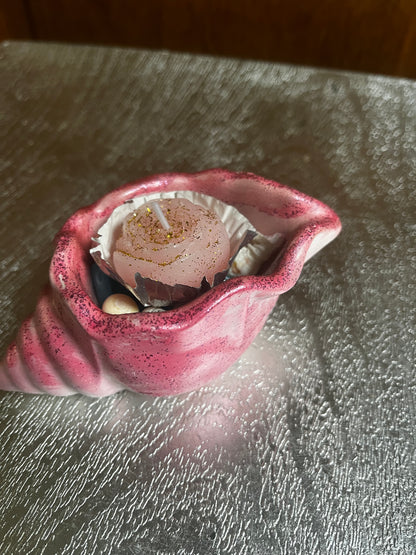 Bougie / coquille d escargot en plâtre