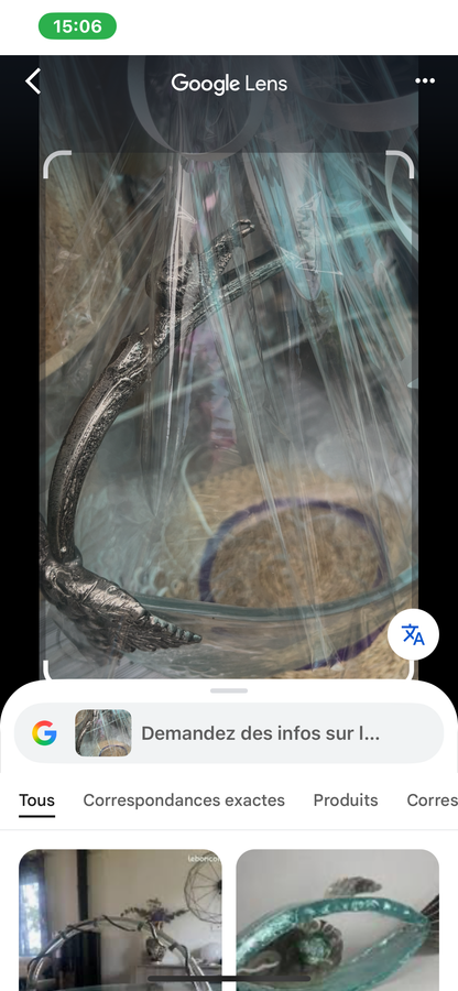 Corbeille à fruit en verre