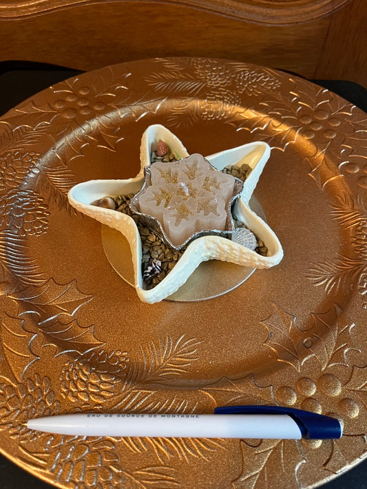 Bougie étoile / support étoile en plâtre