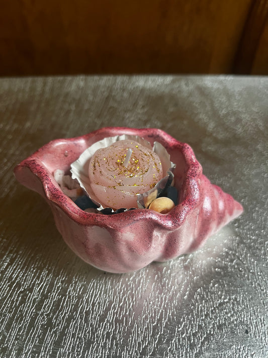 Bougie / coquille d escargot en plâtre